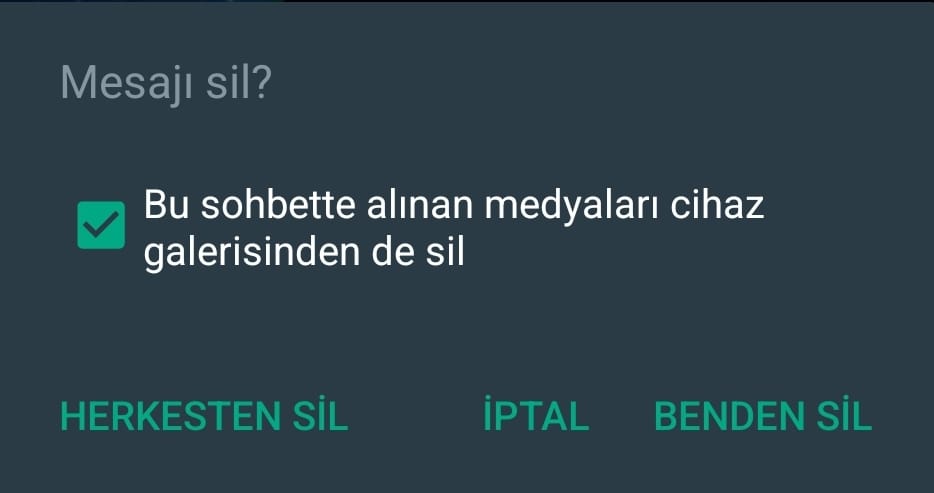 WhatsApp mesajı sil